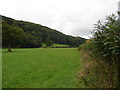 Pasture at Tyn Coed