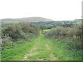 A Green Road  linking the Shore with the A55