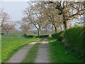 Public Bridleway Heading South at Foxton