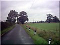 TM3782 : Grub Lane, Rumburgh by Geographer