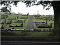 Cemetery Through Trees