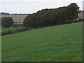 Top of a valley, Baydon