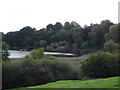 Comberbach/Marbury - view towards Budworth Mere