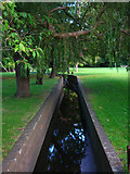 TQ4109 : Winterbourne Stream, Stream Gardens by Simon Carey