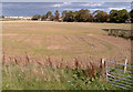 Floodplain of the River Nairn at Househill