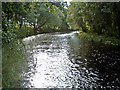 River Nairn near Househill