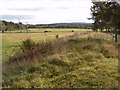 River Nairn embankment and floodplain