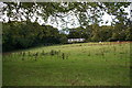 Sunnyside on the Braes of Ardmeallie