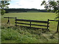 Field to the east of Washpool Wood