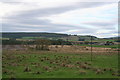 Looking across the Rowan Bauds towards Netherton