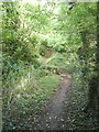 Footpath Near Cherkley Court