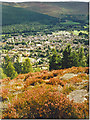 Ballater from Craigendarroch in Summer