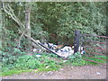 SP9392 : Fly-tipping off Kirby Lane by Tim Heaton
