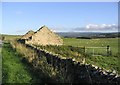 A ruined building by the A6088