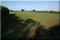 Farmland near Elton