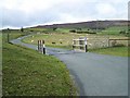 Cattle Grid Near Squilver