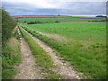 Track Near Dale Farm