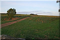 Farm track near Barkston Gorse