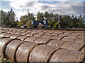 Bales near Mains of Moyness