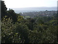 Tor Bay from St Michael