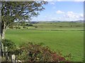 Pasture field near Chapelhill