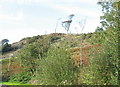 Wooded Hillside above the Road