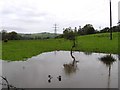 C4613 : Flooding at Ballyshasky by Kenneth  Allen