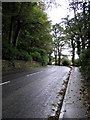 C4614 : Road at Ballyshasky by Kenneth  Allen