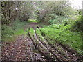 Disused canal near Marlbrook