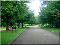 The driveway, exiting Oulton Hall Hotel, flanked by a golf course.