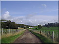 Newton Farm - looking inland from the beach