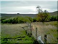 Auchindoun Castle