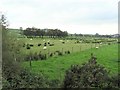 Mulnagore Townland