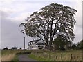 Overglinns Farm, near Fintry