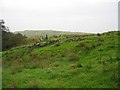 Old wall at Dodside