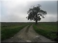 A Public Footpath Towards Bugthorpe