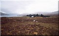 Moorland west of Pait Lodge