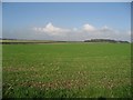 Cloudscape, Field and Wood