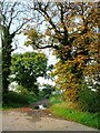 Track to Crosby Court Grange