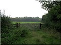 A Gated Field On Goose Lane