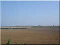 More farmland near Farnham