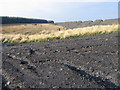 NS8132 : Edge of opencast coal site by Chris Wimbush
