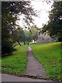 Path leading onto Brandon Hill