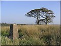 The trig point near Blackwoodridge