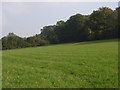 Farmland, Ramsbury