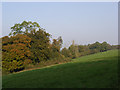 Woods and farmland, Axford