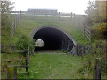 NZ4217 : A66 pedestrian tunnel by Mick Johnson
