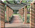 Pergola, Recreation Ground, Burley