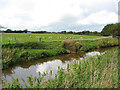 Sheep pasture by the Weaver