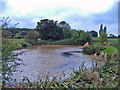 Warmingham: field pond near Warmingham Road